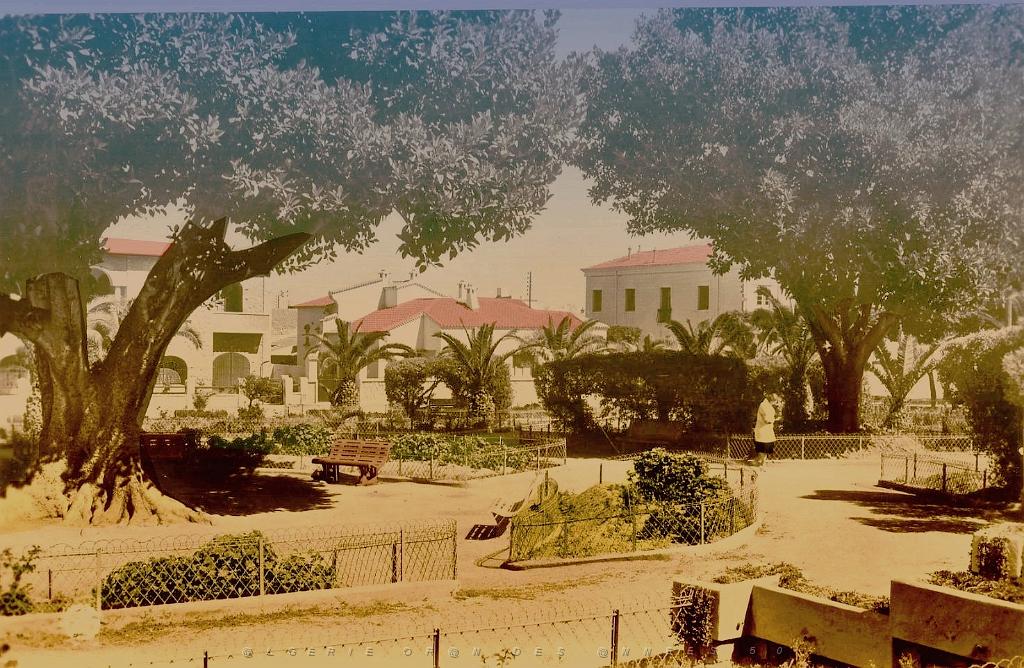 Relizane 504- Jardin public.jpg